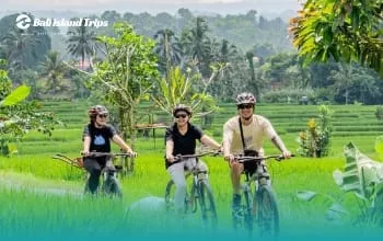Bali Cycling Tour