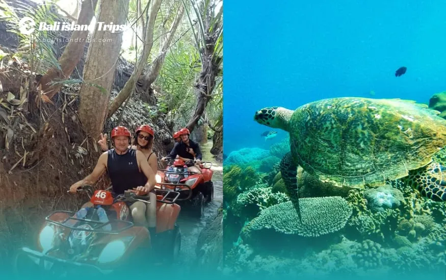 Jungle ATV Quad Bike + Blue Lagoon Snorkeling