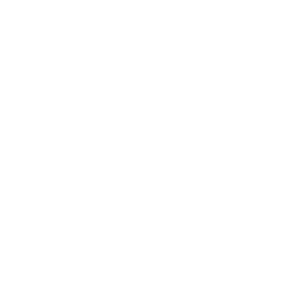 Bali Island Trips