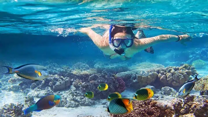 Bali’s Hidden Gems: Snorkeling & Temple Journey