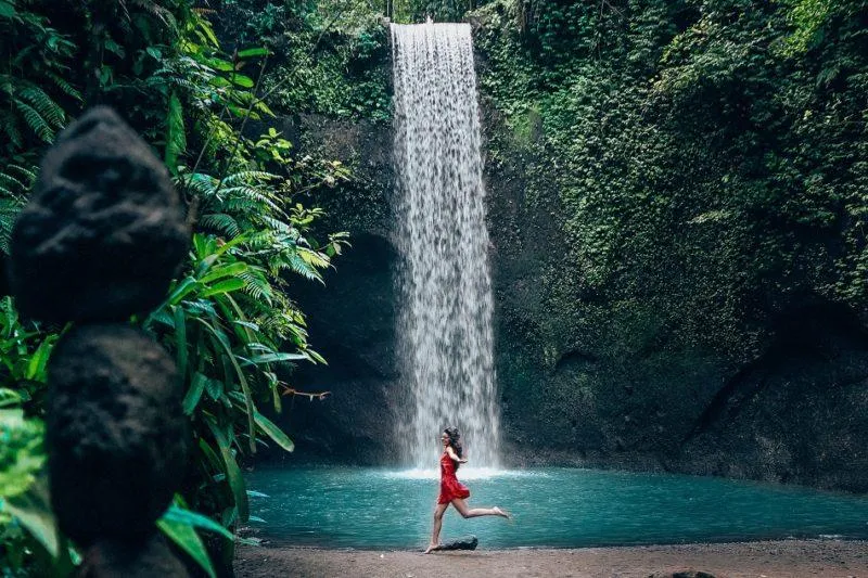 Ubud: Waterfalls, Water Temple & Rice Terraces Private Tour