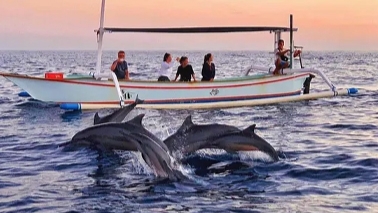 North Bali: Dolphin, Ulun Danu Temple, & Banyumala Waterfall