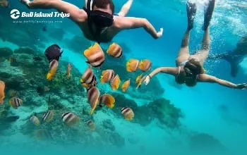 Nusa Penida Snorkeling + Combine Tour