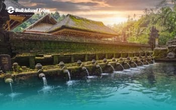 Scenic Ubud & Culture Tour